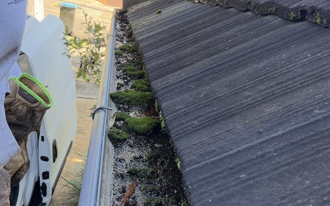 Moss and debris filling a blocked gutter on a Northern Beaches home