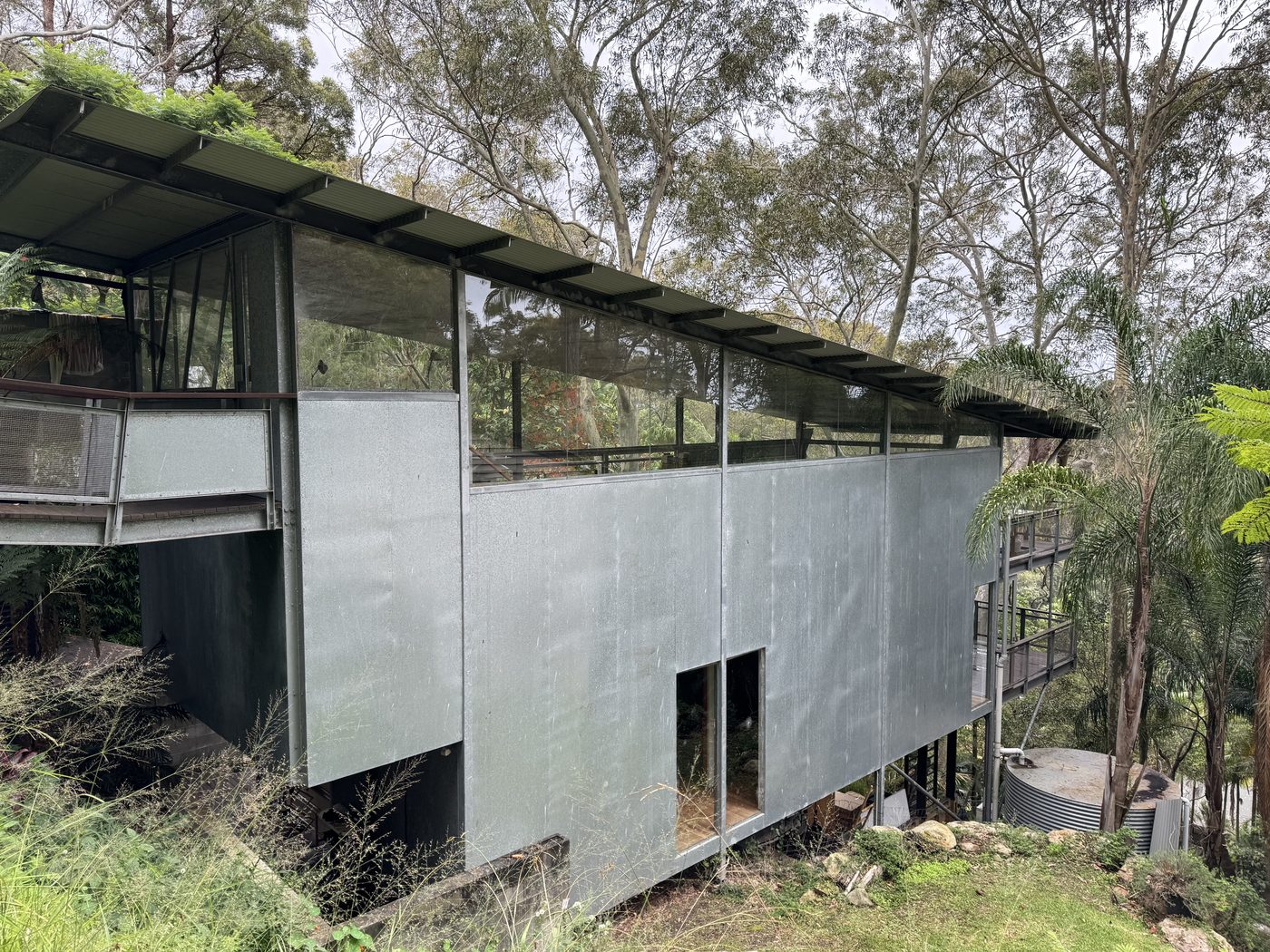 Steel and glass architectural home among gum trees in Avalon