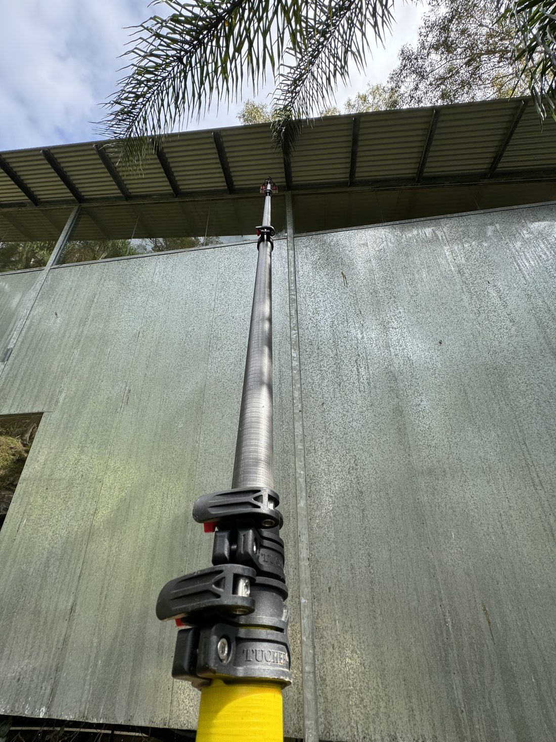 Water fed carbon fibre pole cleaning high clerestory windows in Avalon