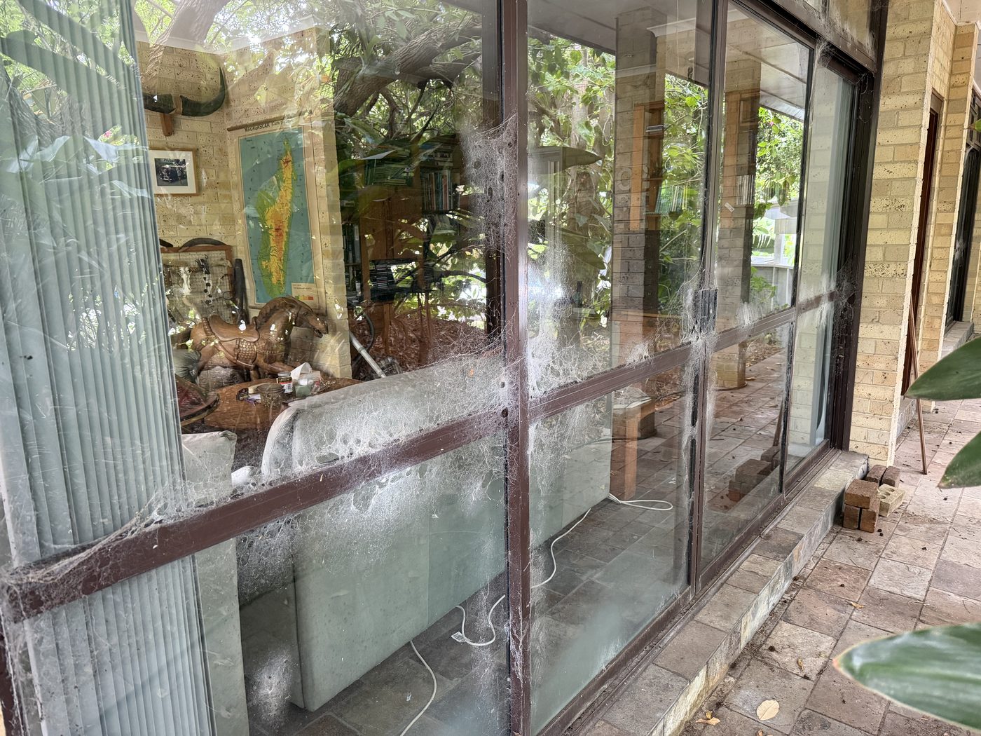 Avalon windows covered in cobwebs and bush dust before cleaning