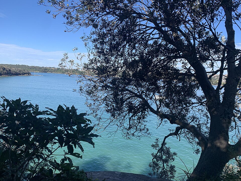 Coastal Clear Windows — professional window cleaning in Clontarf, Sydney’s Northern Beaches