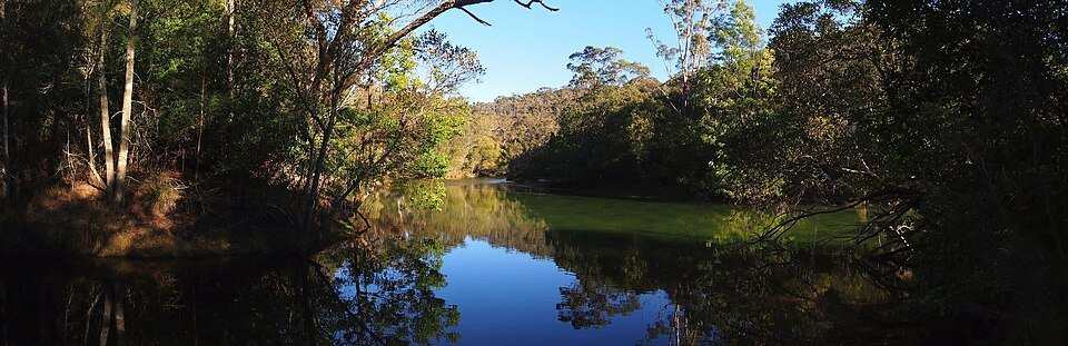 Coastal Clear Windows — professional window cleaning in Davidson, Sydney’s Northern Beaches