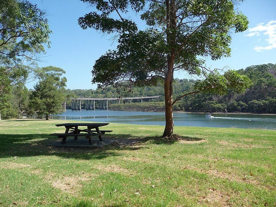 Coastal Clear Windows — professional window cleaning in Forestville, Sydney’s Northern Beaches