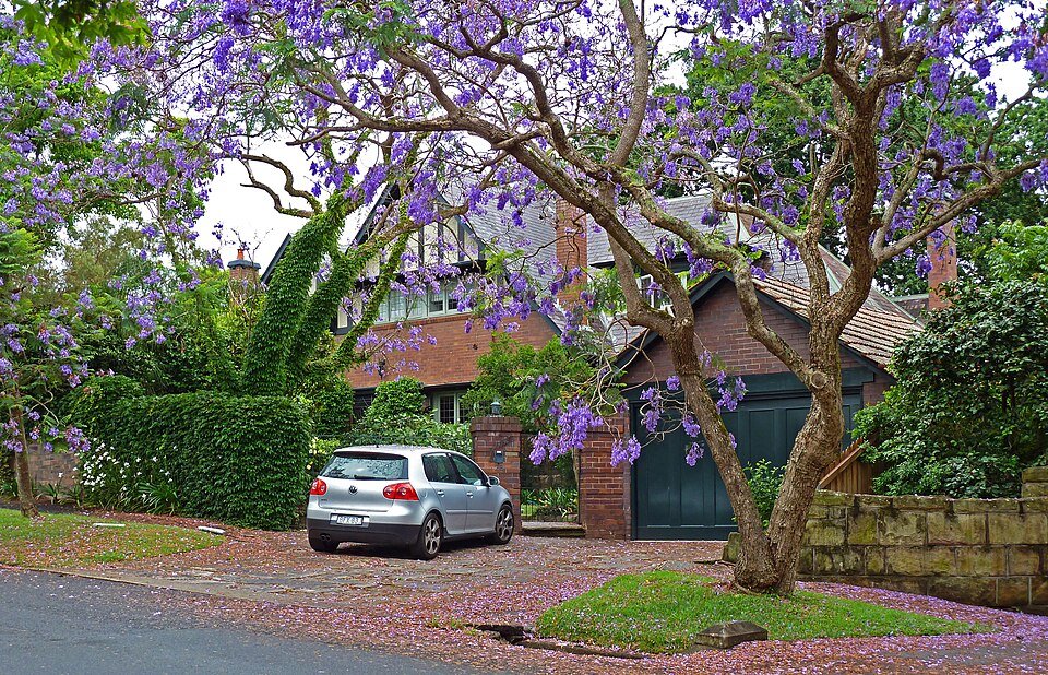 Coastal Clear Windows — professional window cleaning in Killara, Sydney’s Northern Beaches
